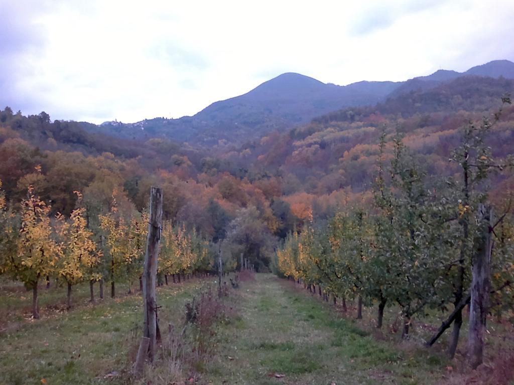 Il Melo Villa Fivizzano Exterior foto